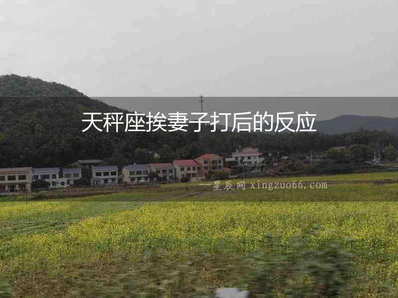 天秤座挨妻子打后的反應