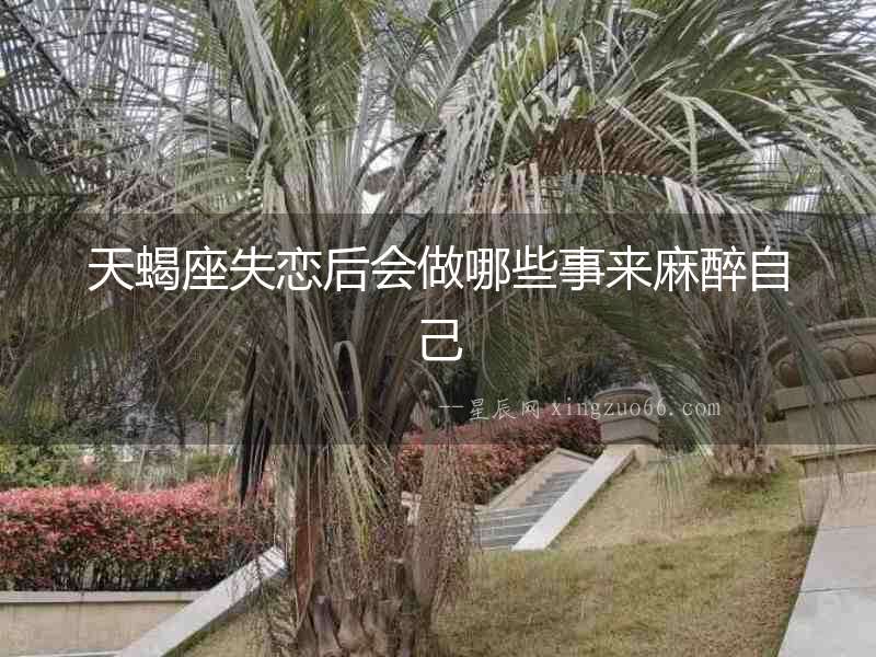 天蝎座失戀后會做哪些事來麻醉自己