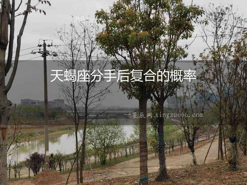 天蝎座分手后復合的概率