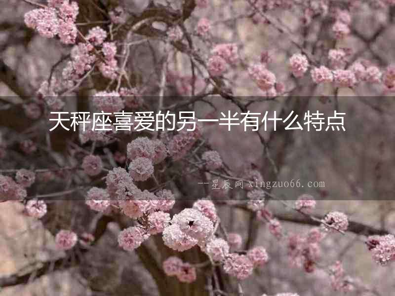 天秤座喜愛的另一半有什么特點