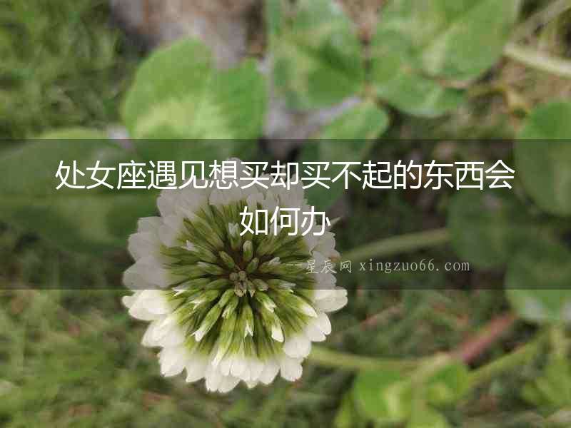 處女座遇見想買卻買不起的東西會如何辦