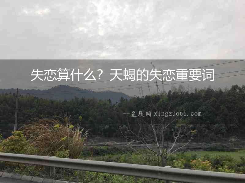 失戀算什么？天蝎的失戀重要詞