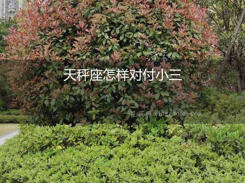 天秤座怎樣對付小三