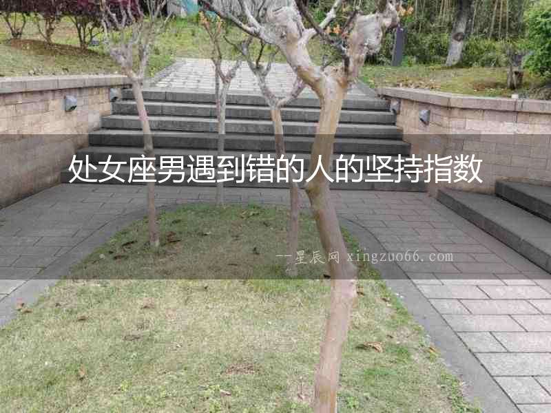 處女座男遇到錯(cuò)的人的堅(jiān)持指數(shù)