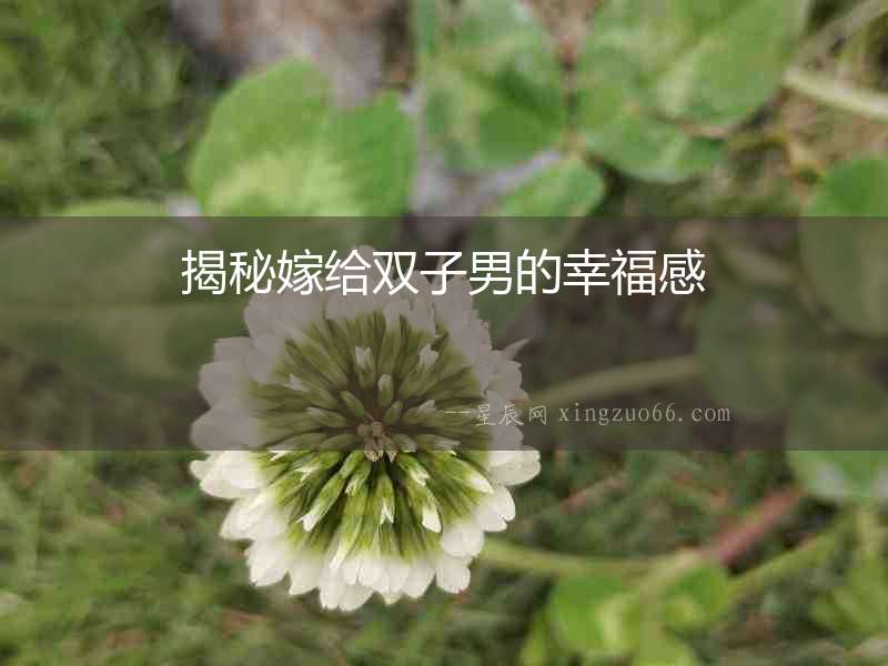 揭秘嫁給雙子男的幸福感
