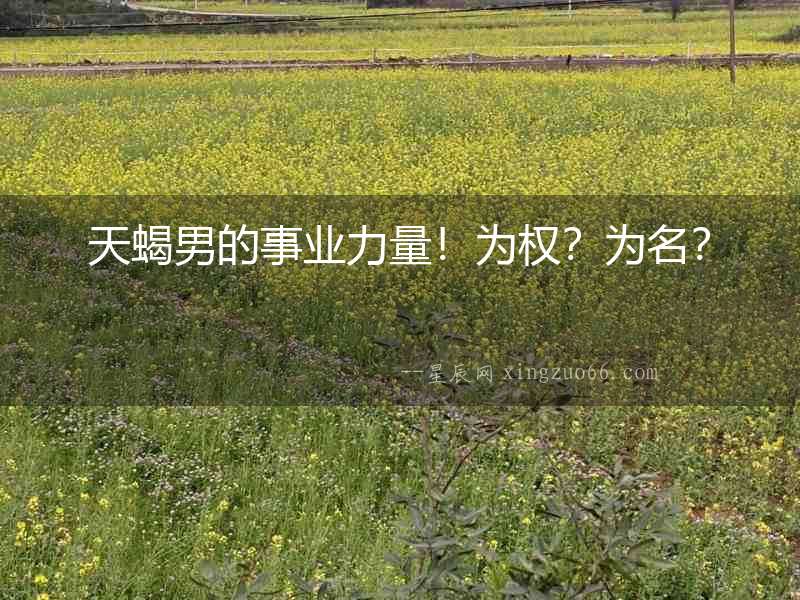 天蝎男的事業力量！為權？為名？