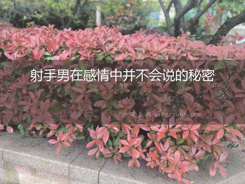 射手男在感情中并不會(huì)說(shuō)的秘密