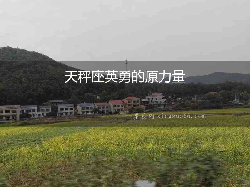 天秤座英勇的原力量