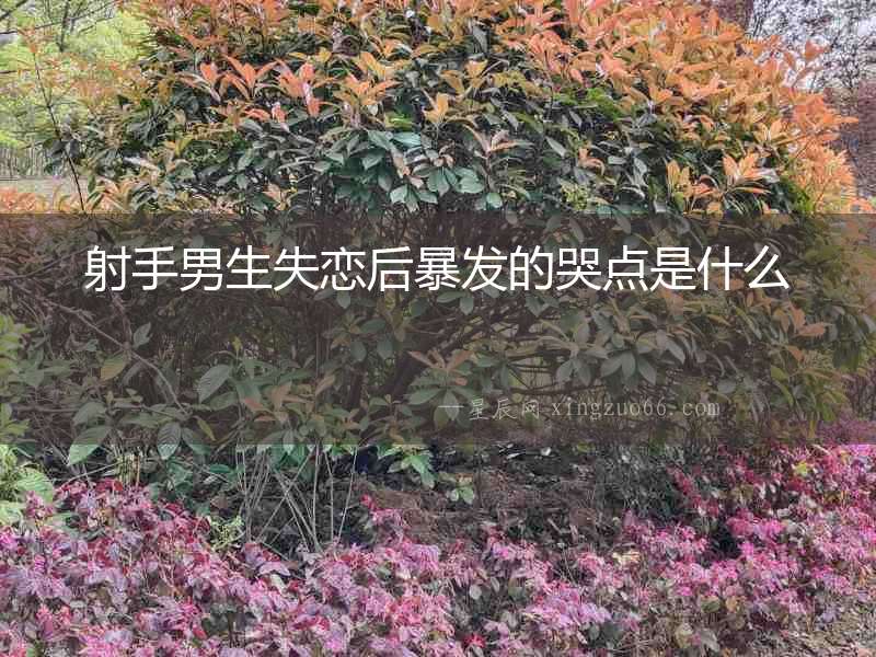 射手男生失戀后暴發(fā)的哭點(diǎn)是什么