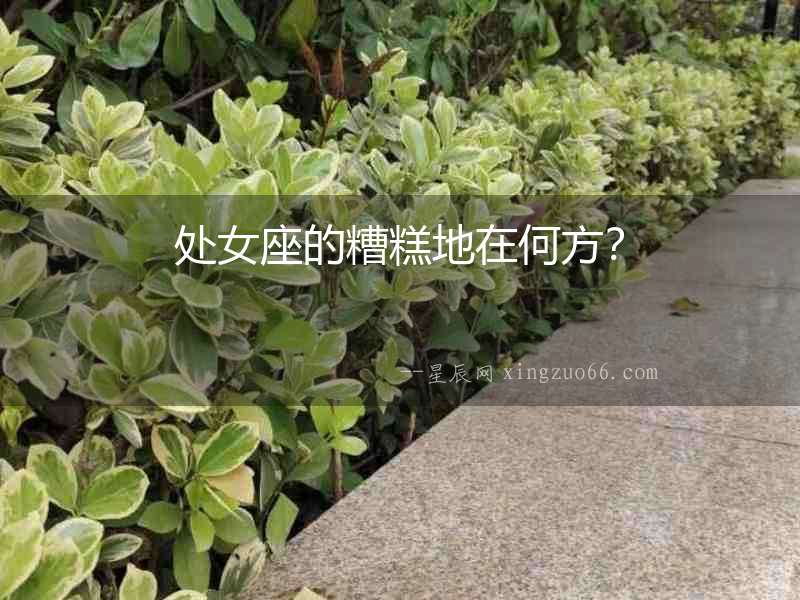 處女座的糟糕地在何方？