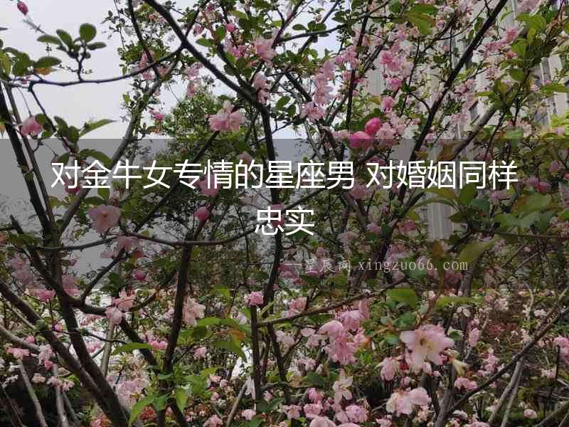 對金牛女專情的星座男 對婚姻同樣忠實