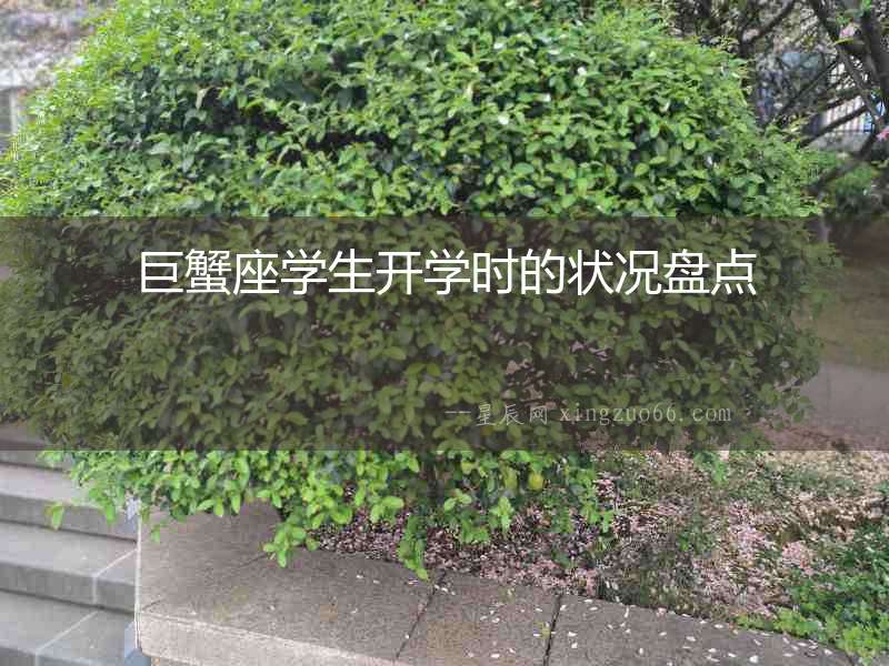 巨蟹座學(xué)生開(kāi)學(xué)時(shí)的狀況盤(pán)點(diǎn)