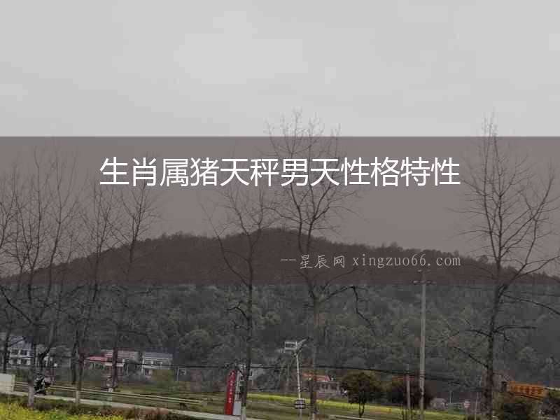 生肖屬豬天秤男天性格特性
