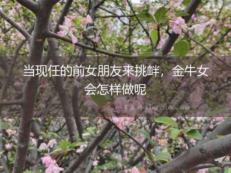 當現任的前女朋友來挑釁，金牛女會怎樣做呢