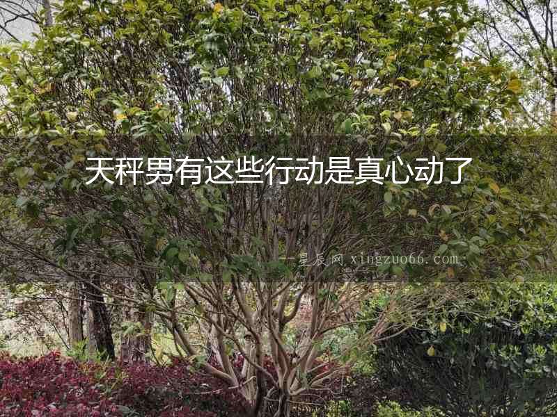 天秤男有這些行動是真心動了