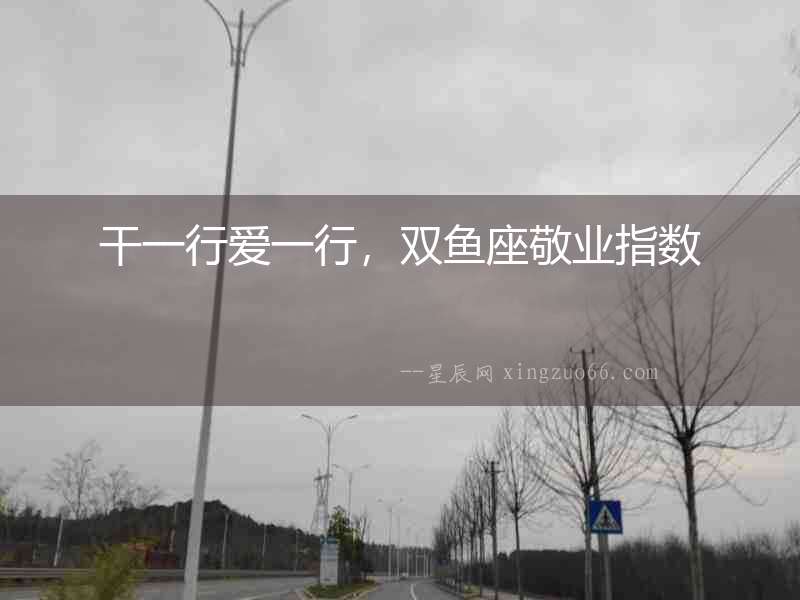 干一行愛一行，雙魚座敬業指數