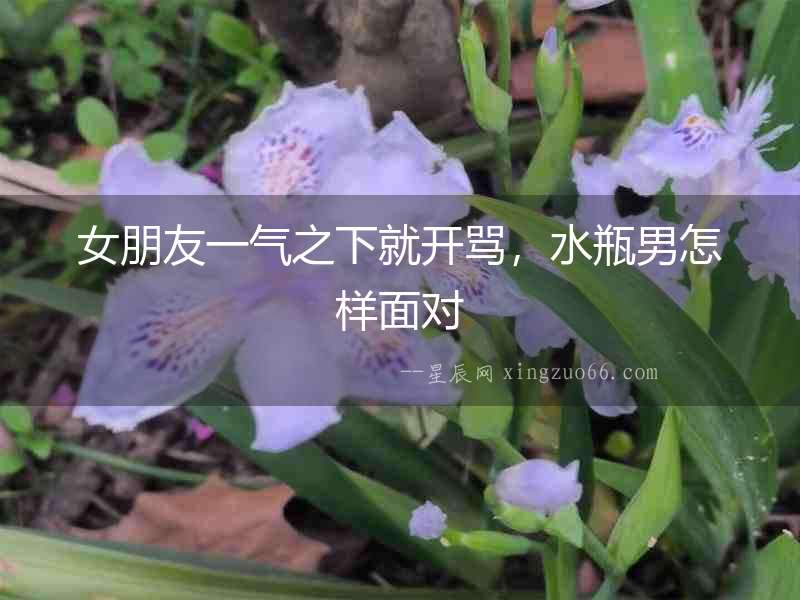 女朋友一氣之下就開罵，水瓶男怎樣面對
