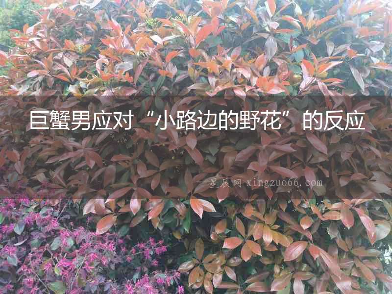 巨蟹男應對“小路邊的野花”的反應
