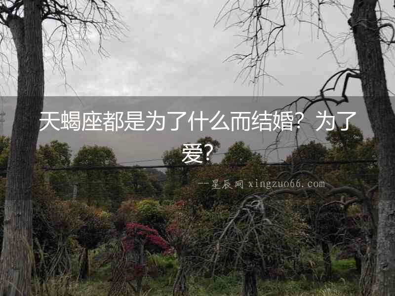 天蝎座都是為了什么而結(jié)婚？為了愛？