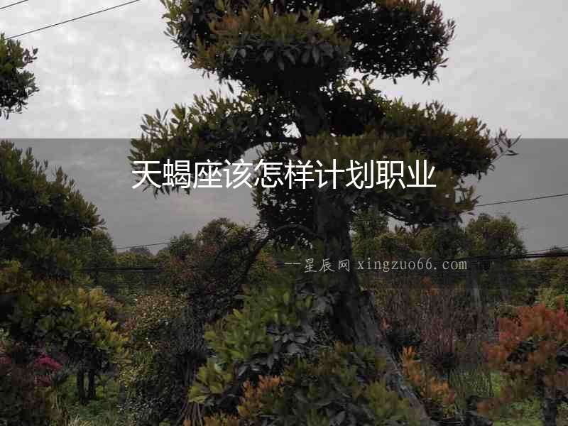 天蝎座該怎樣計劃職業(yè)