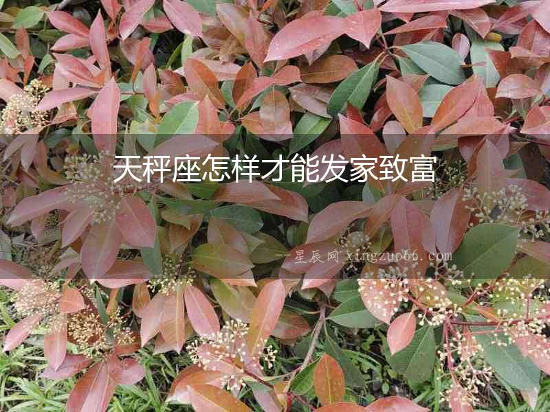 天秤座怎樣才能發家致富