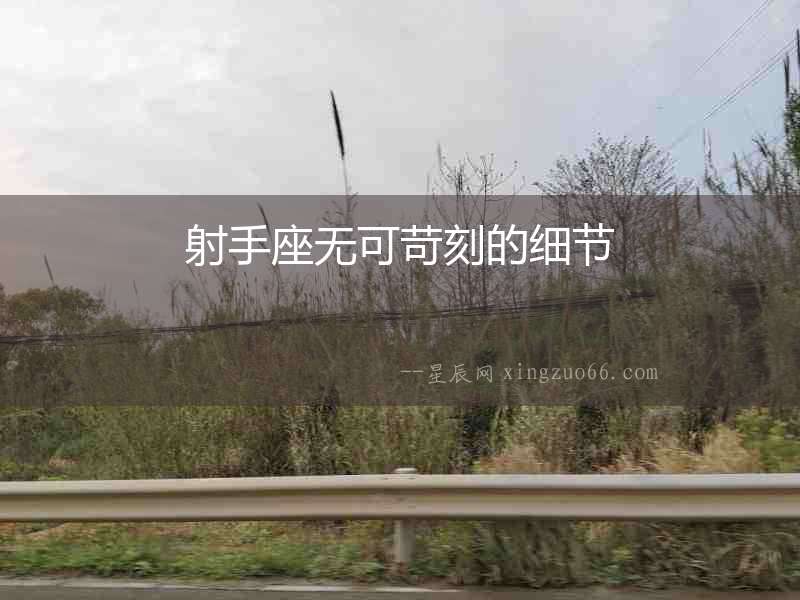 射手座無可苛刻的細(xì)節(jié)