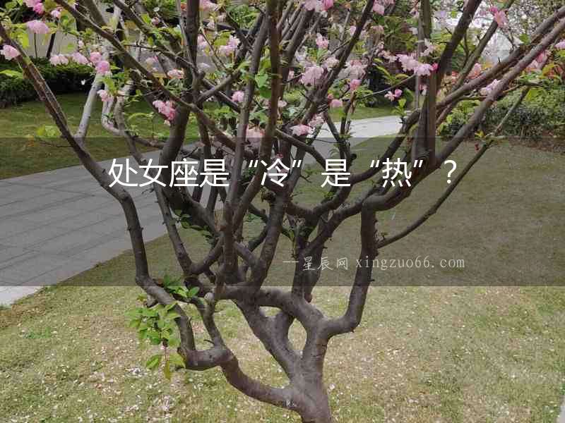 處女座是“冷”是“熱”？