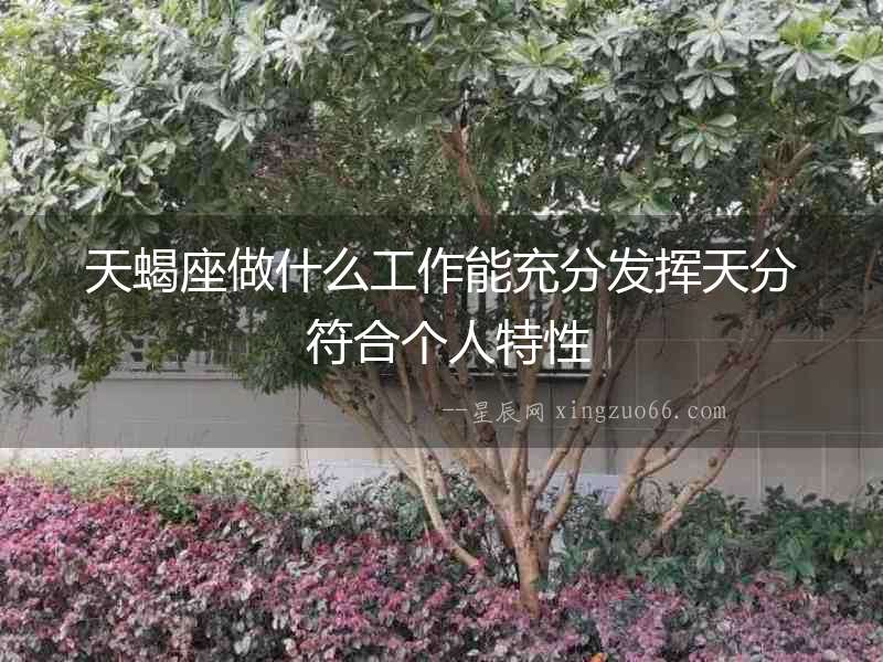 天蝎座做什么工作能充分發揮天分 符合個人特性