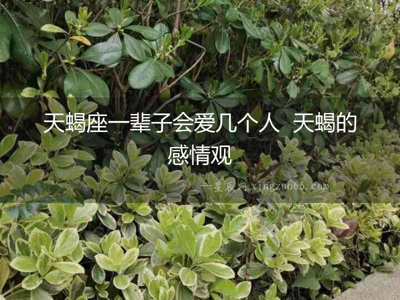天蝎座一輩子會(huì)愛幾個(gè)人  天蝎的感情觀