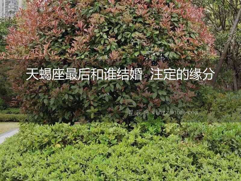 天蝎座最后和誰結婚  注定的緣分