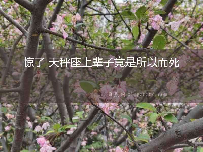 驚了 天秤座上輩子竟是所以而死