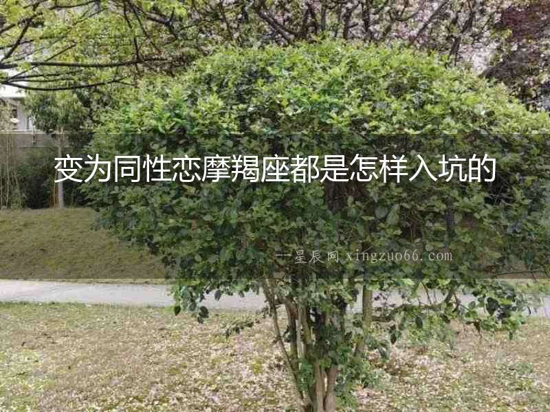 變為同性戀摩羯座都是怎樣入坑的