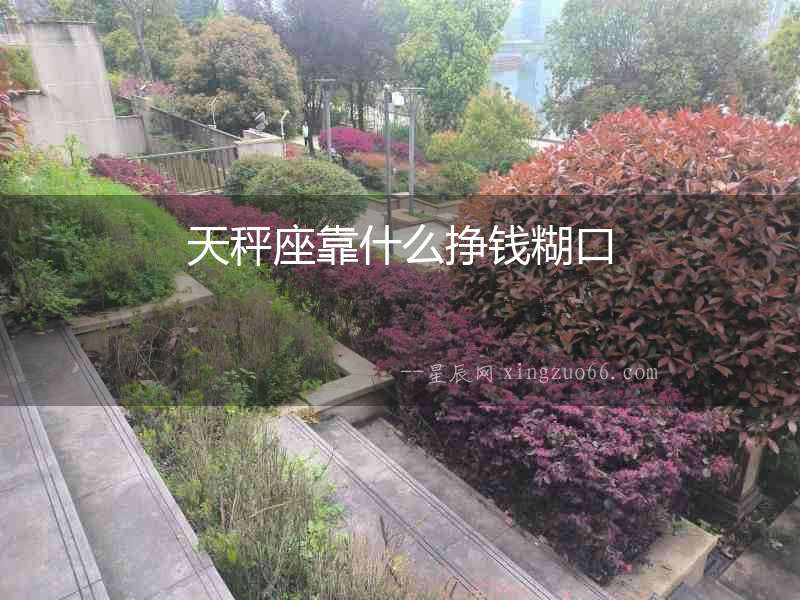 天秤座靠什么掙錢糊口