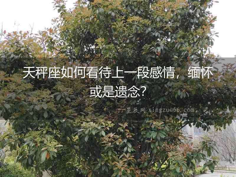 天秤座如何看待上一段感情，緬懷或是遺念？