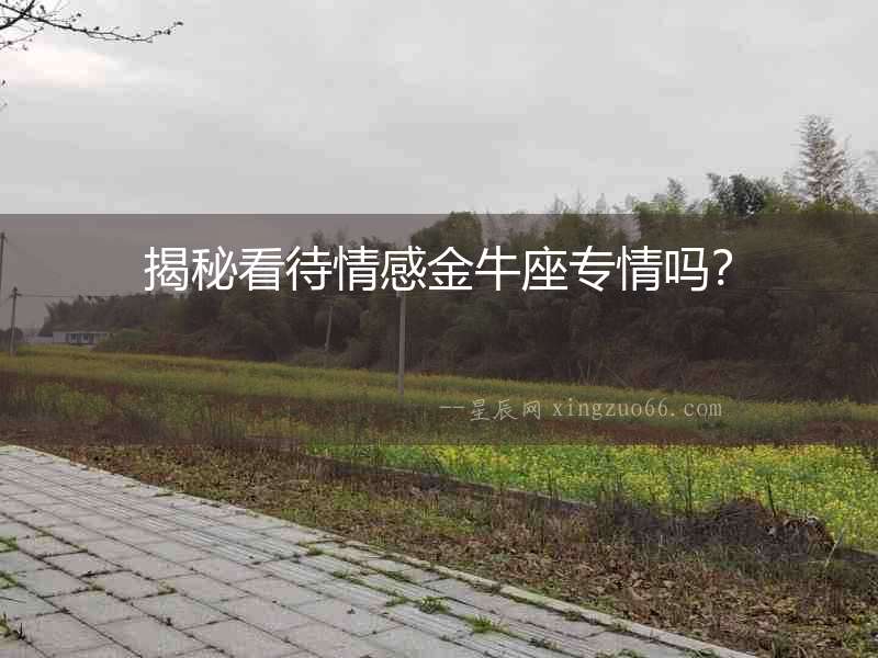 揭秘看待情感金牛座專情嗎？