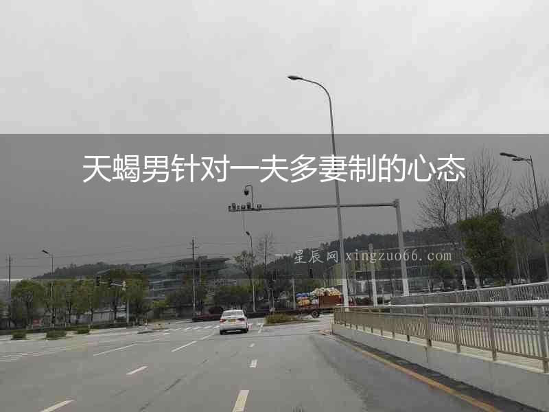 天蝎男針對一夫多妻制的心態