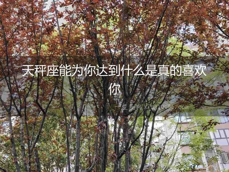 天秤座能為你達(dá)到什么是真的喜歡你