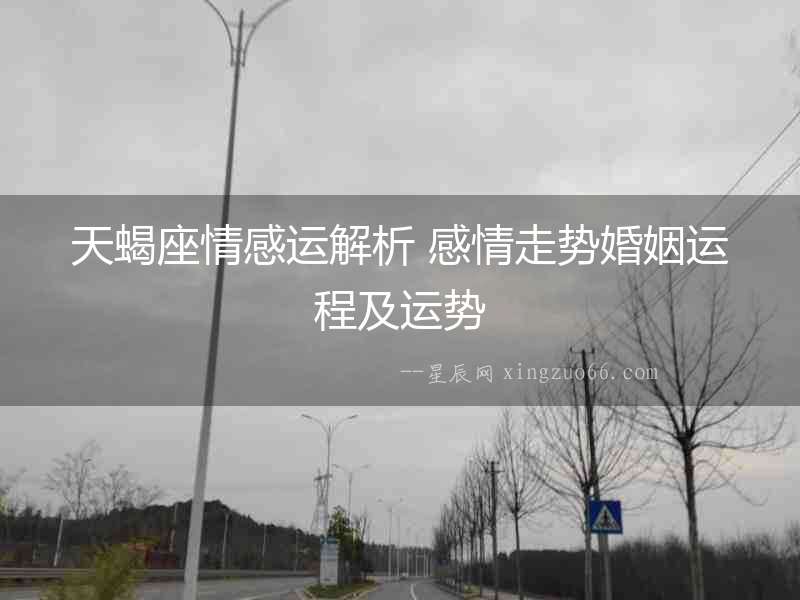 天蝎座情感運解析 感情走勢婚姻運程及運勢