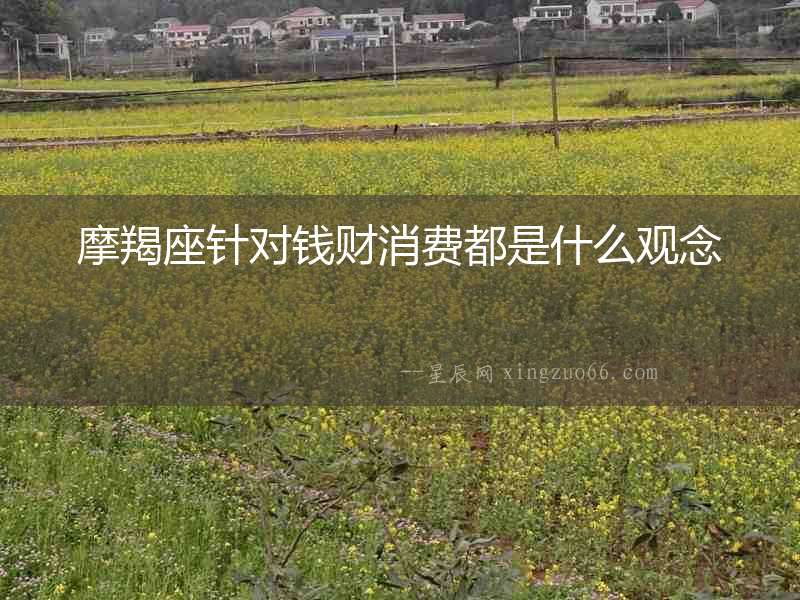 摩羯座針對錢財消費都是什么觀念