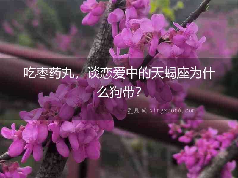 吃棗藥丸，談戀愛中的天蝎座為什么狗帶？