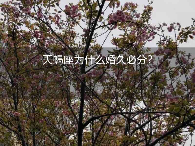 天蝎座為什么婚久必分？