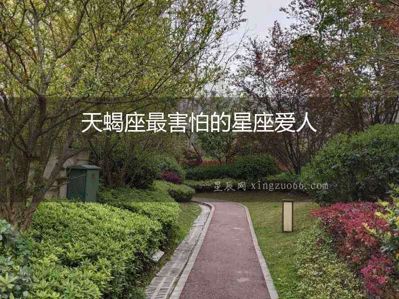 天蝎座最害怕的星座愛人
