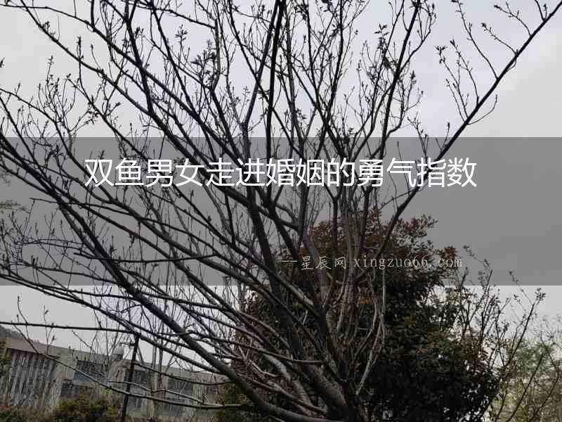 雙魚男女走進婚姻的勇氣指數
