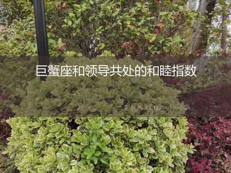 巨蟹座和領(lǐng)導(dǎo)共處的和睦指數(shù)