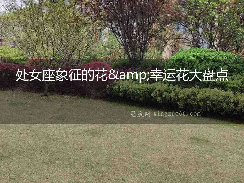 處女座象征的花&幸運(yùn)花大盤點(diǎn)