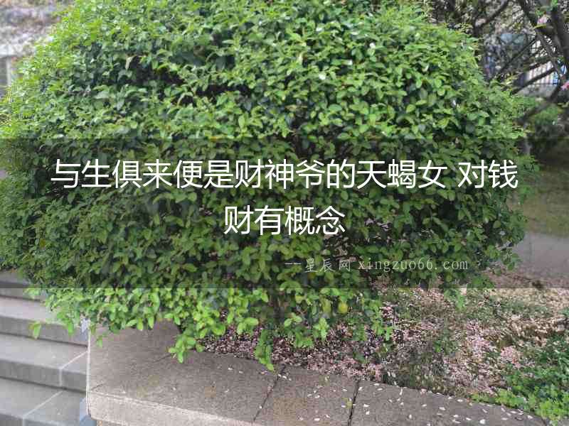 與生俱來便是財神爺的天蝎女 對錢財有概念