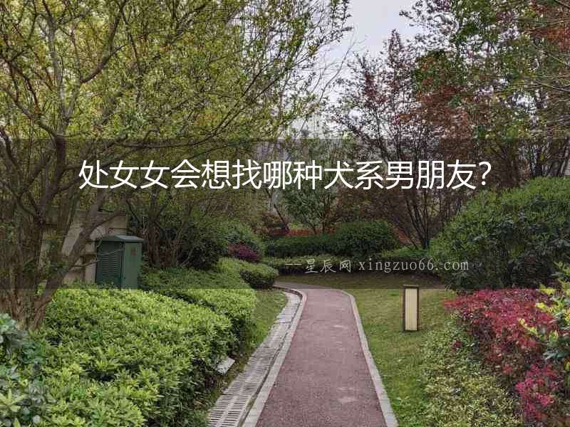 處女女會想找哪種犬系男朋友？