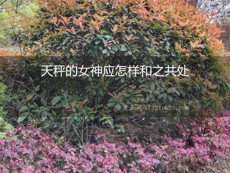 天秤的女神應(yīng)怎樣和之共處