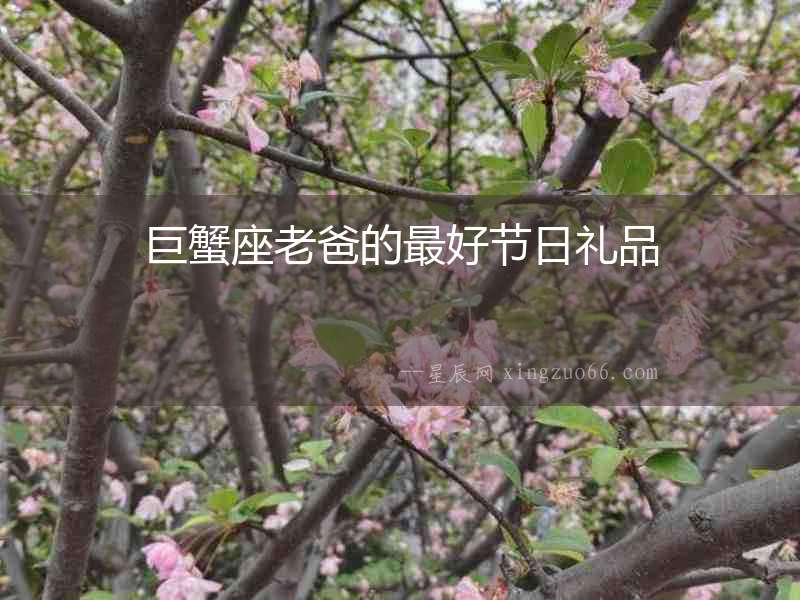 巨蟹座老爸的最好節日禮品