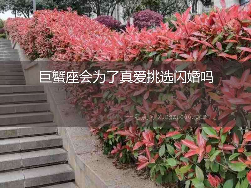 巨蟹座會(huì)為了真愛挑選閃婚嗎